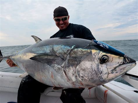 Noaa Fisheries Closes The 2018 Recreational Trophy Bluefin Tuna Fishery