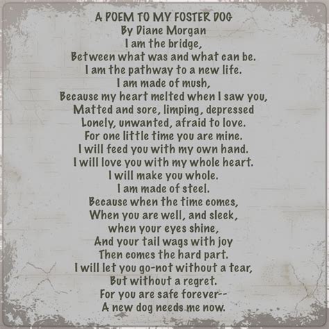 A Poem To My Foster Dog Rescue Dog Quotes Dog Mom Quotes Foster Dog Mom