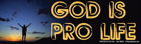 Magnetic Bumper Sticker God Is Pro Life Life Cycle Books Usa
