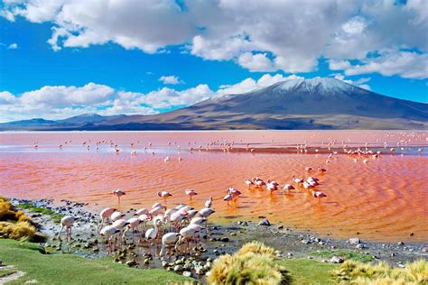 Bolivia Salar De Uyuni Fotos Idea Sala De Estar