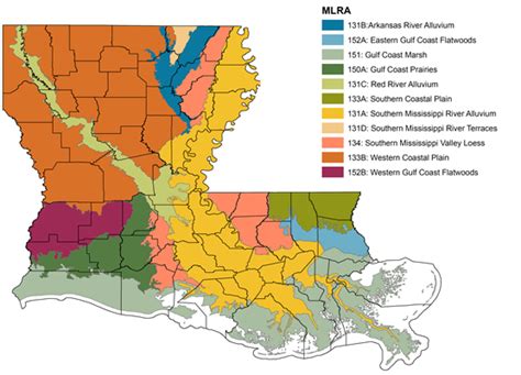 Describe The Types Of Soils In Louisiana And Their Uses