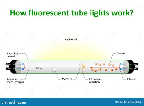 Comment Les Lumières De Tube Fluorescent Fonctionnent Illustration De