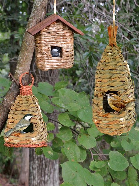 Unique Acorn Bird Feeder Gardeners Supply In 2021 Bird House Kits