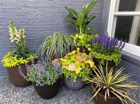 Outdoor Container Plants Ideas