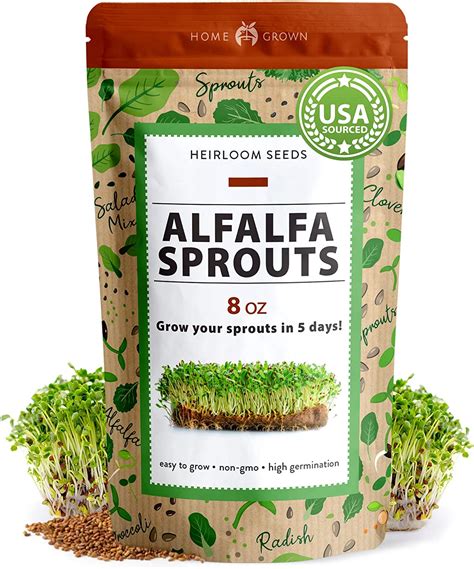8oz Alfalfa Sprouting Seeds Alfalfa Sprout Seeds For
