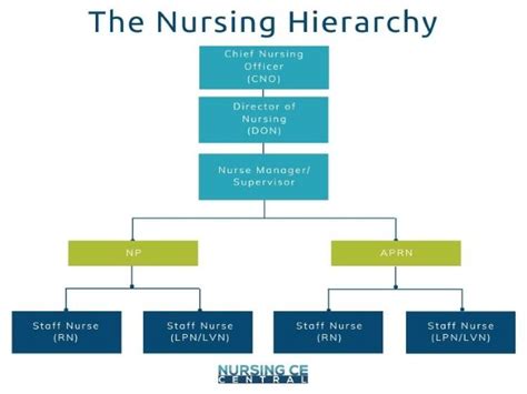 Understanding The Nursing Hierarchy Where Do You Stand