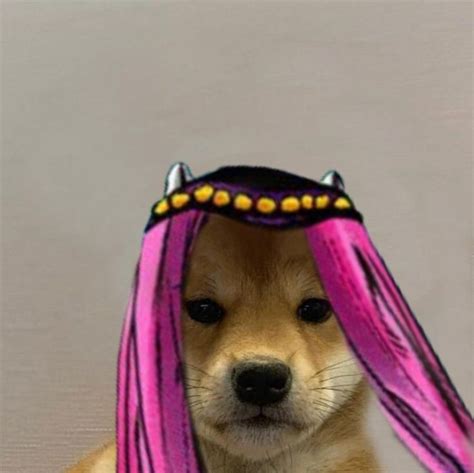 Dog With Hat Jojo Anasui In 2020 Jojo Bizzare Adventure Jojos Bizarre Adventure Jojo Memes
