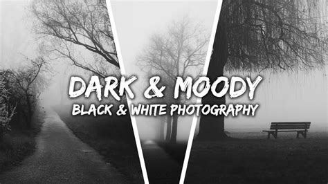 How To Edit Dark And Moody Black And White Photos Landscape Photography