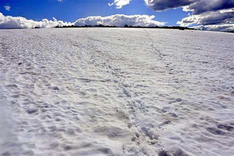 Trails In Snow Photograph By Joanna Machel Fine Art America