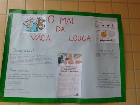 Trabalho Escolar Em Cartolina