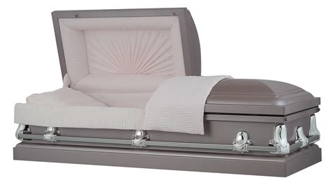 70 Discount On Orchid Steel Coffin Casket Buy For 1399 Titan