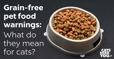 As the moisture helps balance it and the processing does not yeild incorrect nutrient levels. What Do Grain-Free Pet Food Warnings Mean for Cats? - Cats ...