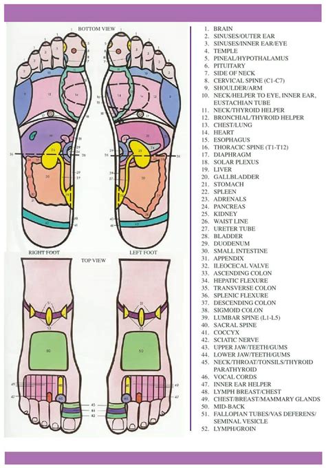 36 Free Printable Foot Reflexology Charts Word Pdf