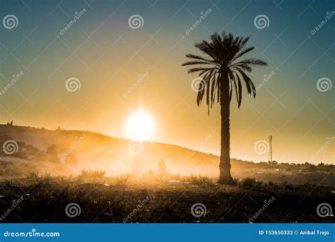 Sunset In The Desert In Tunisia Stock Image Image Of Landmark Arab