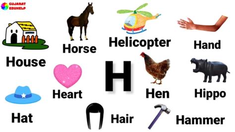 H Letter Words In English Words Starting With H Letter H Words With