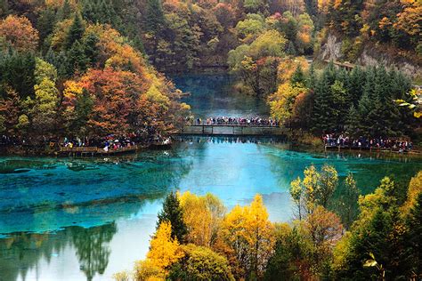 Five Flower Lake Jiuzhaigou