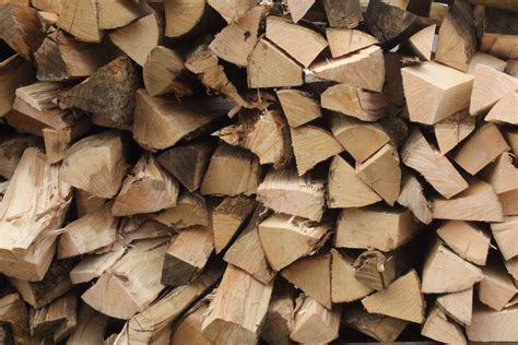 Hardwood Logs Love Dry Wood