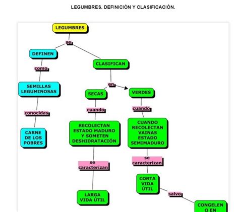 Mapa Conceptual Sobre Los Carbohidratos Geno
