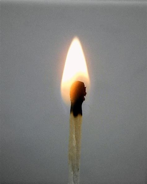 Match Flame Burns Free Photo On Pixabay Pixabay