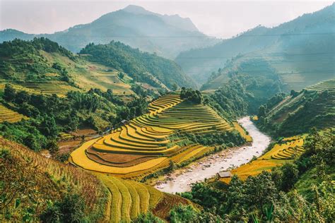 The Terraced Rice Fields Are Dotted With Green Plants And Trees Along