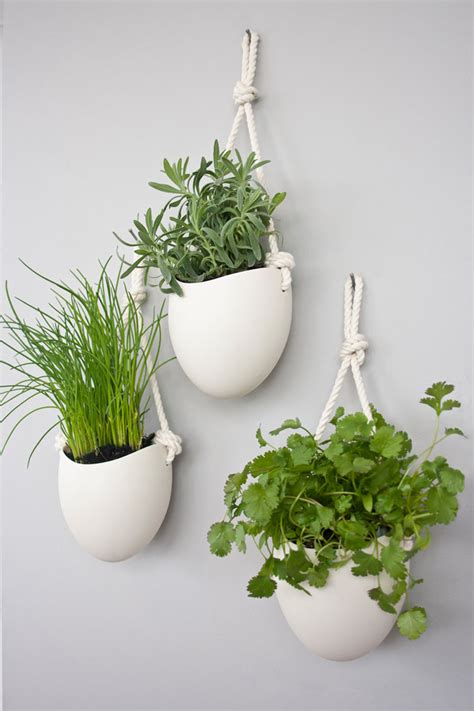 53 Indoor Garden Idea Hang Your Plants From The Ceiling And Walls The