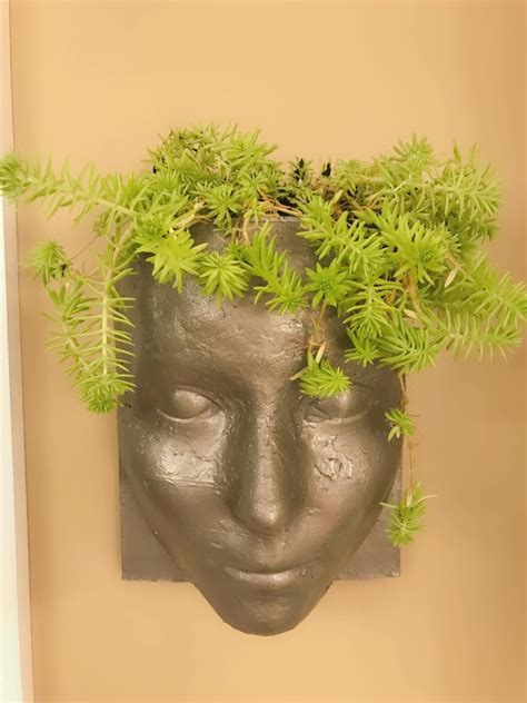 Wall Hanging Head Planter 3d Model 3d Printable Cgtrader