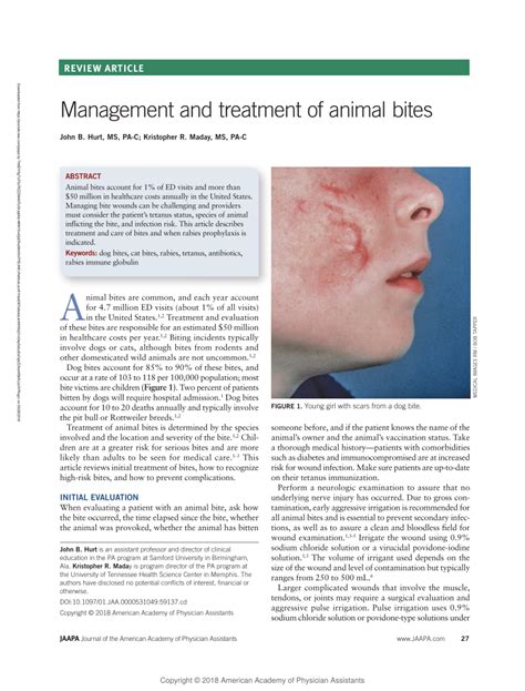Top 120 Management Of Animal Bite