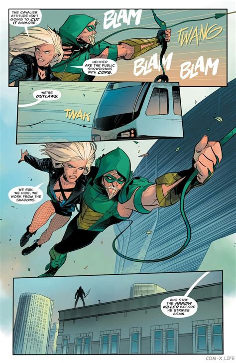 Oliver And Diana Green Arrow Black Canary Dc Comics Funny Comics