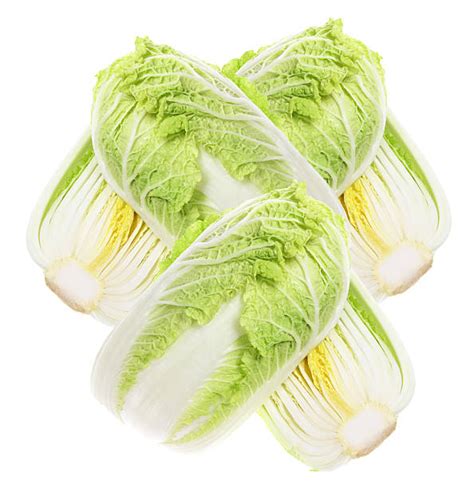 180 Wombok Cabbage Stock Photos Pictures And Royalty Free Images Istock