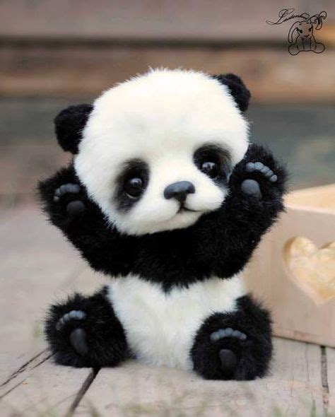 Más De 25 Ideas Increíbles Sobre About Panda En Pinterest Oso Panda