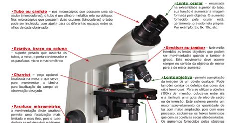 Microscópio óptico E Suas Partes Ensino