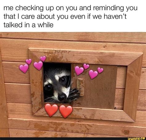 Wholesome Meme Me Checking Up On You And Reminding You That I Care About You Even If We Haven