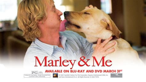 Marley And Me Marley And Me Image 5315876 Fanpop