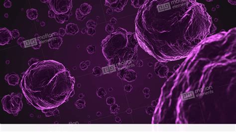 Abstract Purple Virus Cells Under Microscope Video Hintergrund 11554287