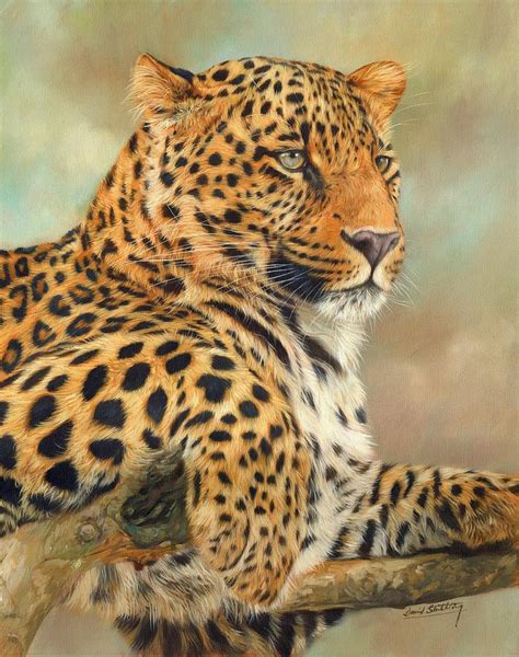 Leopard Painting By David Stribbling Fine Art America