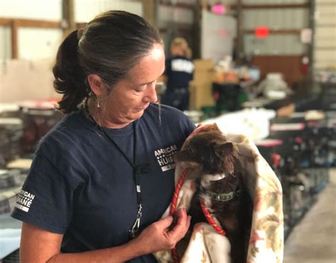 American Humane Rescues Pets From Hurricane Florence Flood Waters
