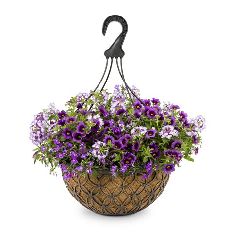 Proven Winners Hanging Basket Annuals At