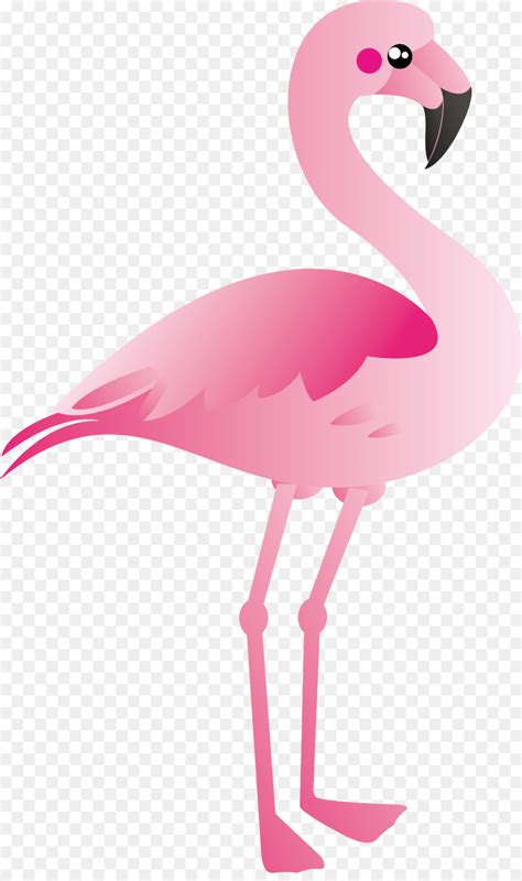 Flamingo Cartoon Clip Art 10 Free Cliparts Download Images On
