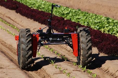 Leveraging Artificial Intelligence To Control Agriculture Robotics