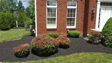 Envision Landscaping Services Inc