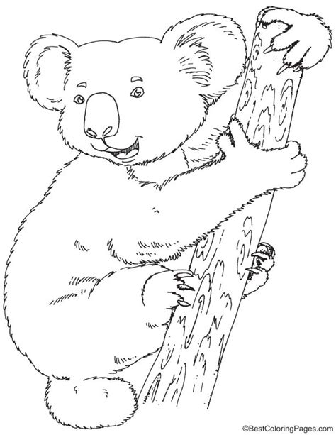 You will love to color a nice coloring page. Koala coloring page | Download Free Koala coloring page ...