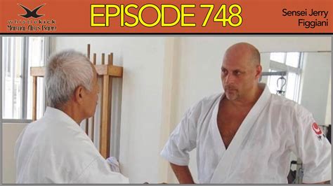 Episode 748 Sensei Jerry Figgiani — Whistlekick Martial Arts Radio