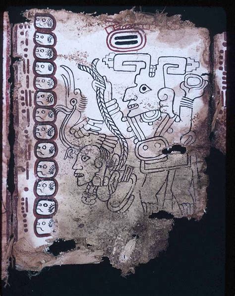 Mysterious Mayan Codex Confirmed As Oldest Book In Americas