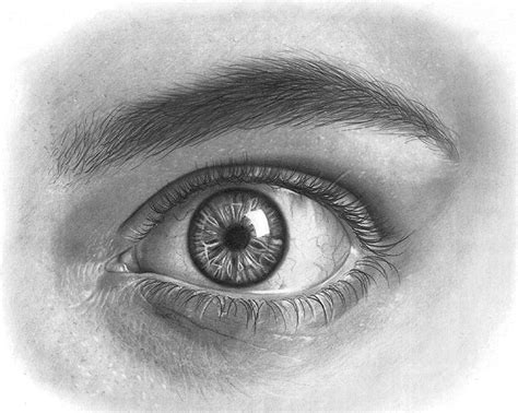 Drawing A Realistic Eye Draw Spaces