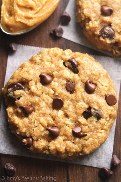 These diabetic snickerdoodle cookies make a great sweet treat for those watching their carbs. Chocolate Chip Peanut Butter Oatmeal Cookies {Recipe Video ...