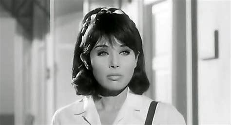 علي بن عبد الكافي السبكي. لبنى عبد العزيز | Actors & actresses, Actresses, Actors