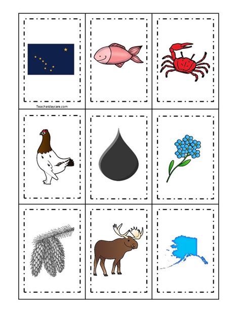 30 Alaska State Symbols Themed Learning Games Download Zip Etsy