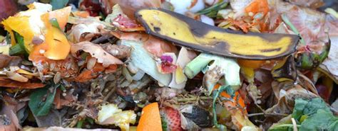 Vermont Food Scrap Ban Becomes Law