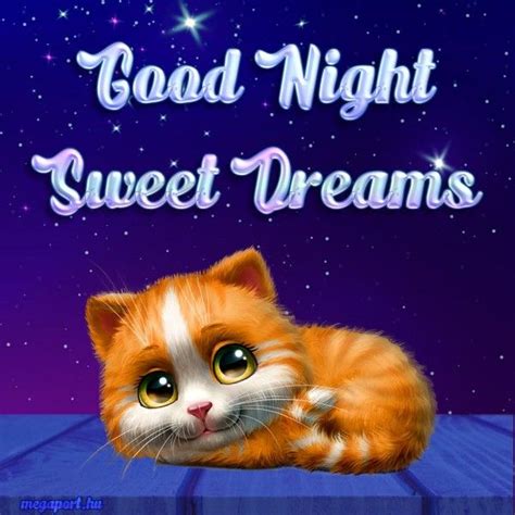 cute kitten good night images anna blog