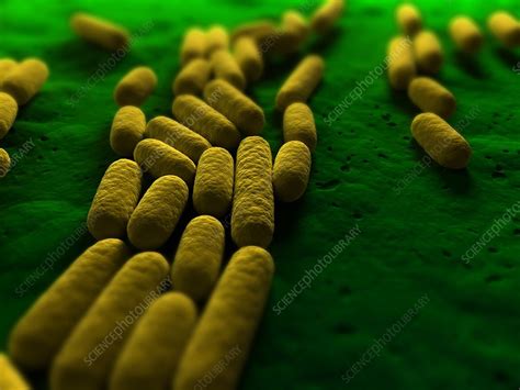Bacteria Artwork